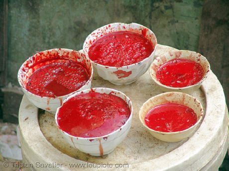 Sopa de sangue fresco
