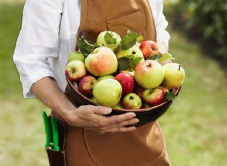 Produtos ricos em ferro