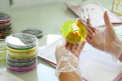 Bacteriologista