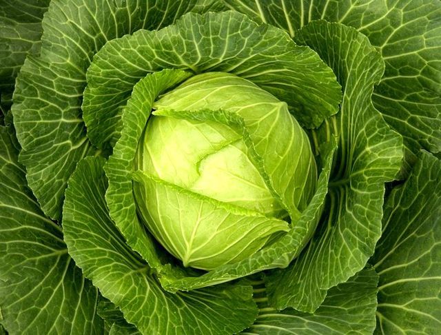 Os melhores produtos para perda de peso e beleza