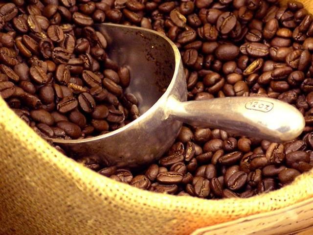 Cafeína e Câncer