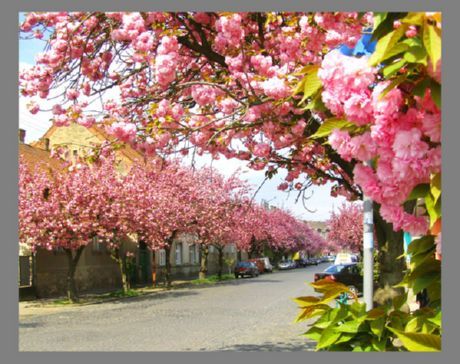 Descanse na primavera na parte ocidental da Ucrânia