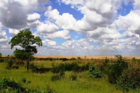 Descanse na primavera na estepe ucraniana