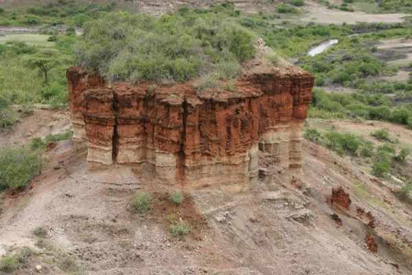 Mudanças climáticas drásticas influenciaram a evolução humana