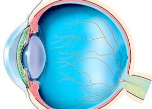 Homályos látás angiopathia, Magas vérnyomás
