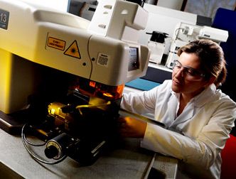 Cientistas aprenderam a criar um mapa dos movimentos de uma pessoa analisando seu cabelo
