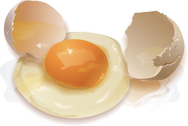 a ação da dieta de ovos